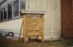 Die Bienenwand danach 6. April 1995