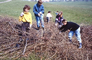 Schüler der Hauptschule Schöllbronn helfen bei der Anlage einer Benjeshecke