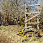 Holzstämme liegen bereit