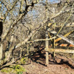 leergeräumter Lebensturm