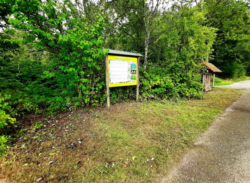 Infotafel nach dem die Gras, Gestrüpp und Brombeeren zurückgeschnitten sind