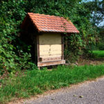 Lehm-Bienenwand bei der Benjeshecke