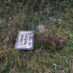 Unerwarteter Fund aus den Anfängendes Teichs