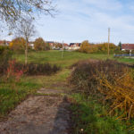 Schnittgut liegt zur Abholung bereit