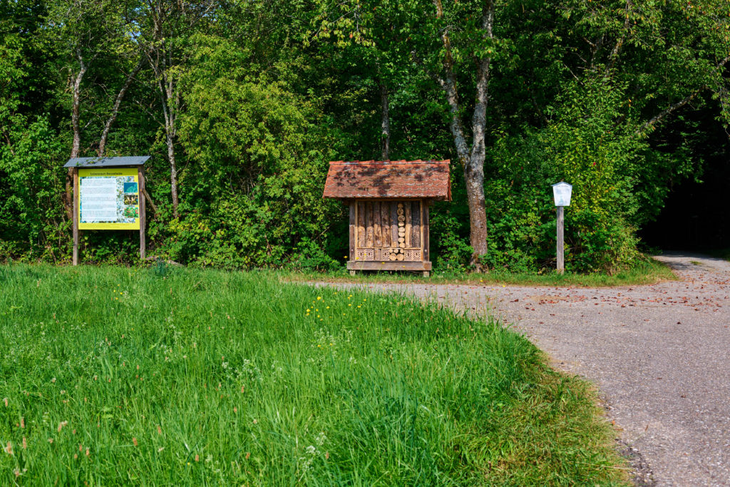 Infoschild und Bienenwand 2025