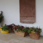 Pflanzem warten auf Weiterverarbeitung