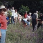 Die Wandergruppe im Moosalbtal