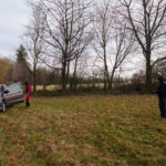 Blick auf die Benjeshecke vor dem Rückschnitt