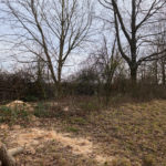 Blick auf die Benjeshecke nach dem 1. Arbeitseinsatz