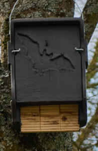 Nistkasten für Fledermäuse