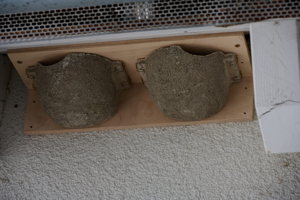 Nisthilfe für Schwalben