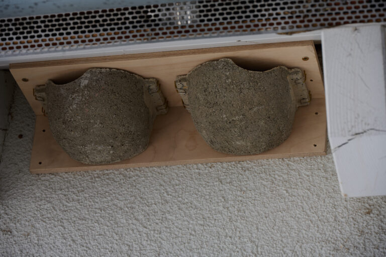 Nisthilfe für Schwalben