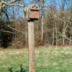 Nistkasten vor dem Öffnen