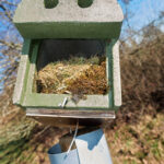 Auch Renovierungsbedürfitge Behausungen sind gefragt