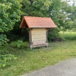 Bienenwand nach dem Freischneiden