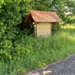 Bienenwand vor dem Freischneiden