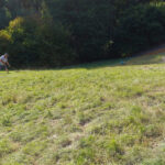 Helfer bei der Arbeit