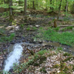 Feuerwehreinsatz am 17.5.2026