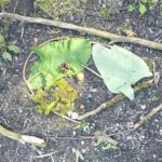 Kinder der Schulkindbetreuung gestalten ein Herz aus natürlichen Materialien