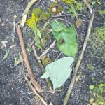 Kinder der Schulkindbetreuung gestalten ein Herz aus natürlichen Materialien